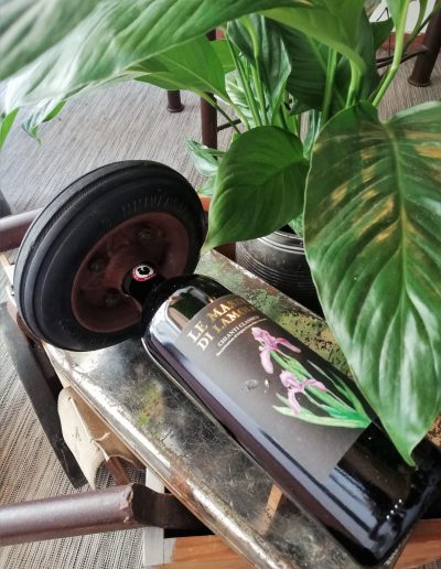 PORTABOTTIGLIE VINO VERITAS (1)