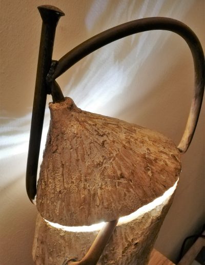 Angel Lampada (7)
